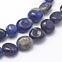 Natural Sodalite Beads Strands, Oval