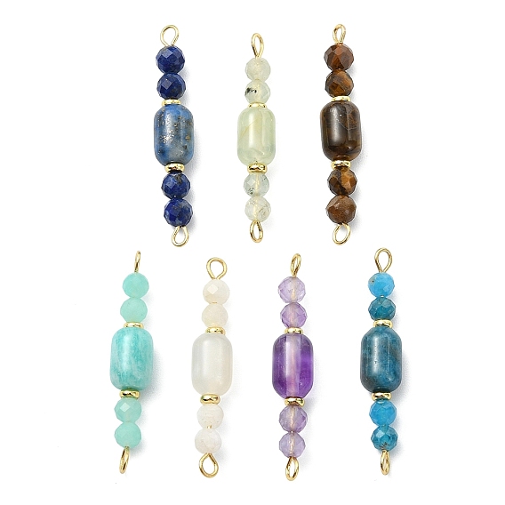 Natural Mixed Gemstone Beaded Connector Charms, Column & Faceted Round Links, Golden