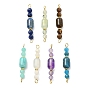 Natural Mixed Gemstone Beaded Connector Charms, Column & Faceted Round Links, Golden