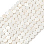 Естественных пресноводных оболочки бисер нитей, плоско-круглые