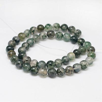 Natural Moss Agate Beads Strands, Round, Grade AAA