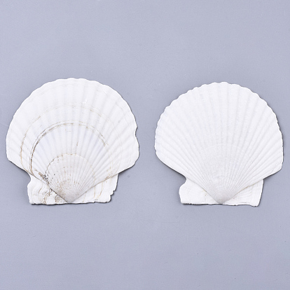 Природного шарики оболочки, неочищенные / без отверстий