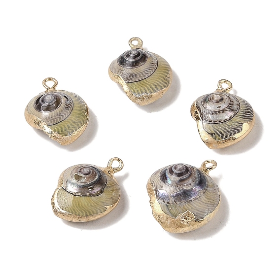 Подвеска из натуральной раковины, с латунной фурнитурой 