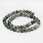 Natural Moss Agate Beads Strands, Round, Grade AAA