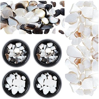 2 Boxes 2 Styles Natural Shell Fragment, Nail Art Decoration Accessories, Chips
