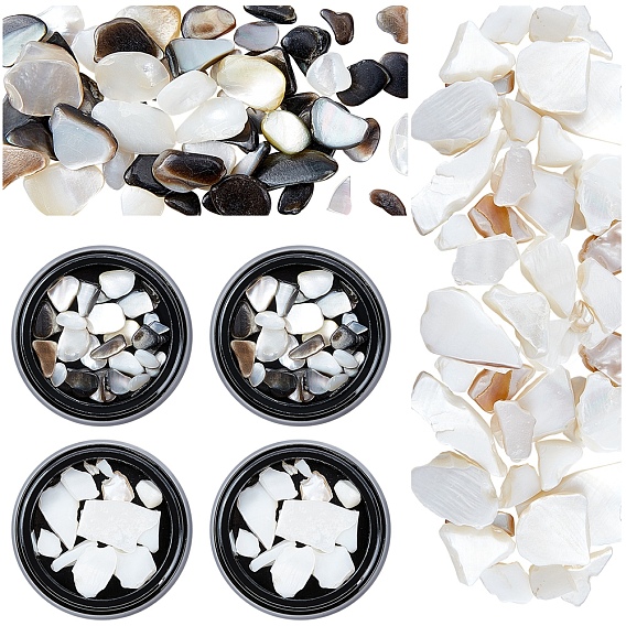 2 Boxes 2 Styles Natural Shell Fragment, Nail Art Decoration Accessories, Chips