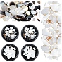 2 Boxes 2 Styles Natural Shell Fragment, Nail Art Decoration Accessories, Chips