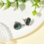 Paua Shell & Brass Stud Earrings for Women, Round, Iron Rhinestone Stud Earrings