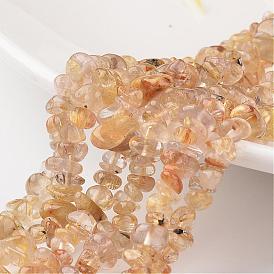Chip Natural Rutilated Quartz Bead Strands, Grade A+, 7~12x5~8x2~5mm, Hole: 1mm, about 15.7 inch