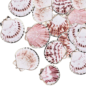 20 piezas colgantes de conchas marinas naturales galvanizadas, dijes en forma de concha con fornituras de hierro, la luz de oro