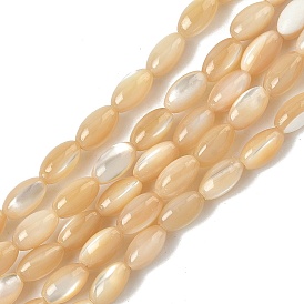 Натуральные бусины из ракушек трохуса, рис