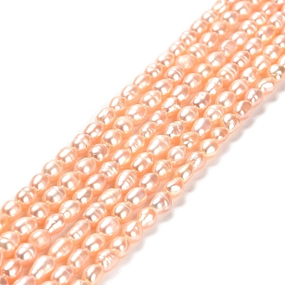 Natural Cultured Freshwater Pearl Beads Strands, Rice, Grade 2A
