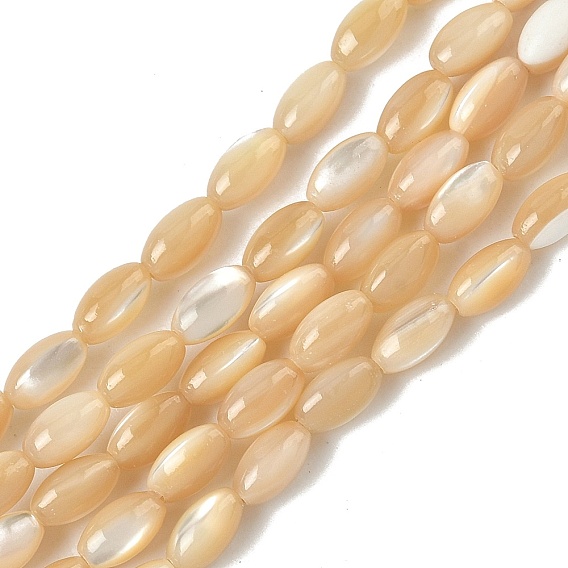 Натуральные бусины из ракушек трохуса, рис