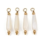 Natural Freshwater Shell Pendants, Teardrop Charm, with 304 Stainless Steel Findings, Ion Plating(IP), Long-Lasting Plated