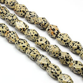 Jaspe dalmatien naturelle perles losange facettes brins, 18x13x12mm, Trou: 1mm, Environ 22 pcs/chapelet, 15.74 pouce