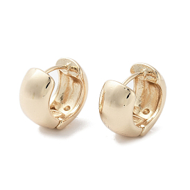 Oval Alloy Thick Hoop Earrings for Women, with 304 Stainless Steel Pins