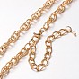 Iron Double Link Chain Necklace Making, with Alloy Lobster Claw Clasps and Iron End Chains, 29.9 inch 