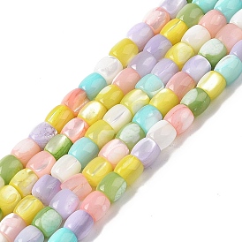 Natural Trochid Shell/Trochus Shell Beads Strands, Dyed, Column