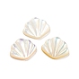 Cabochons de coquillages naturels, forme coquille