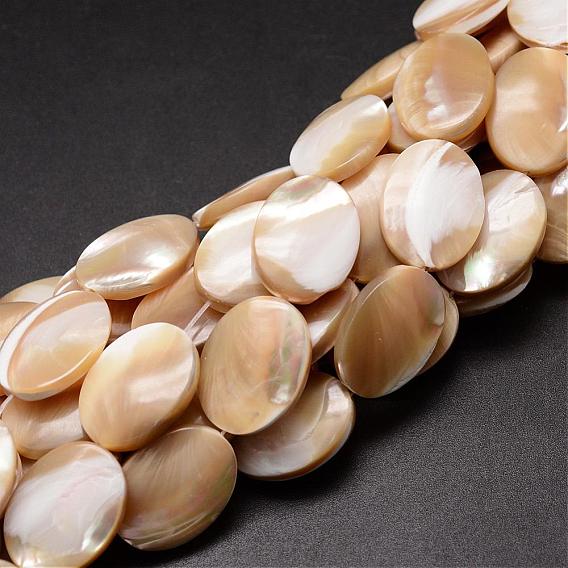 Natural Trochid Shell/Trochus Shell Beads Strands, Oval, 20x15x5mm, Hole: 1mm, about 20pcs/strand, 15.75 inch