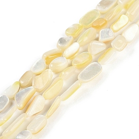 Natural Trochus Shell Beads Strands, Nuggets