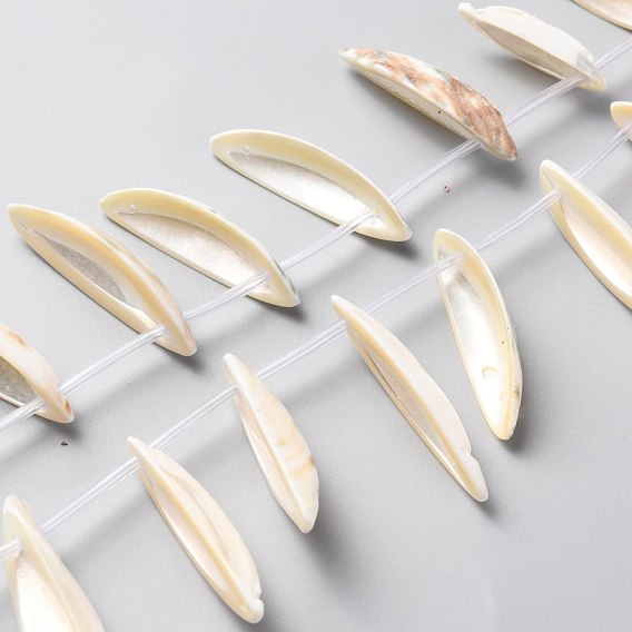 Natural Freshwater Shell Beads Strands, Ship