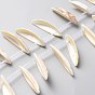 Natural Freshwater Shell Beads Strands, Ship