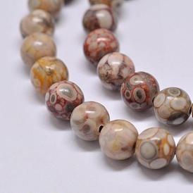 Natural Maifanite/Maifan Stone Beads Strands, Round