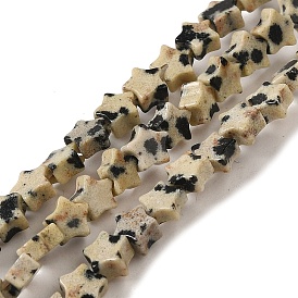 Natural Dalmatian Jasper Beads Strands, Star