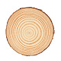 Flat Round Natural Pine Wooden Slices, with Bark, for Wood Craft