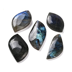 Natural Labradorite Cabochons, Leaf