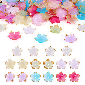 120шт 8 цвета акриловые колпачки для бусин, 5-лепестков цветка, золотой металл обвитыми