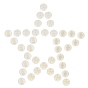 Natural Freshwater Shell Pendants, Flat Round
