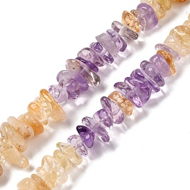 Natural Citrine & Amethyst Beads Strands, Chip