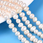 Natural Cultured Freshwater Pearl Beads Strands, Grooved Potato