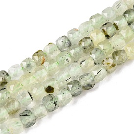 Natural Prehnite Beads Strands, Grade AB+, Faceted, Cube