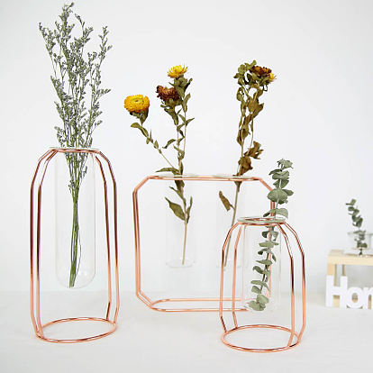 Glass Vase Test Tube Vase, Hydrophilic Plants Vase Plant Holder, with Metal Stand, for Indoor Garden Home Decoration