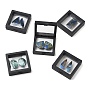 Natural Azurite Cabochons, Flat Back, with Floating Thin Film Display Case, Teardrop Oval Wing