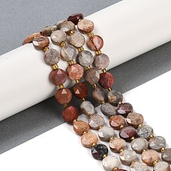 Natural Fossil Coral Beads Strands, Faceted Pentagonal Cut, Flat Round, with Seed Beads