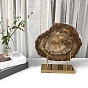 Натуральный окаменевший срез древесины на золотистой железной подставке, деревенский декор для дома