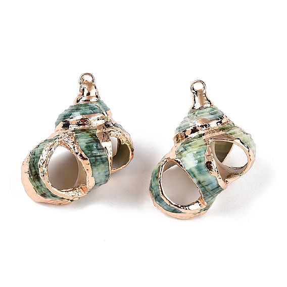 Подвески натурального морских раковин, подвески в форме ракушек с золотистыми железными петлями