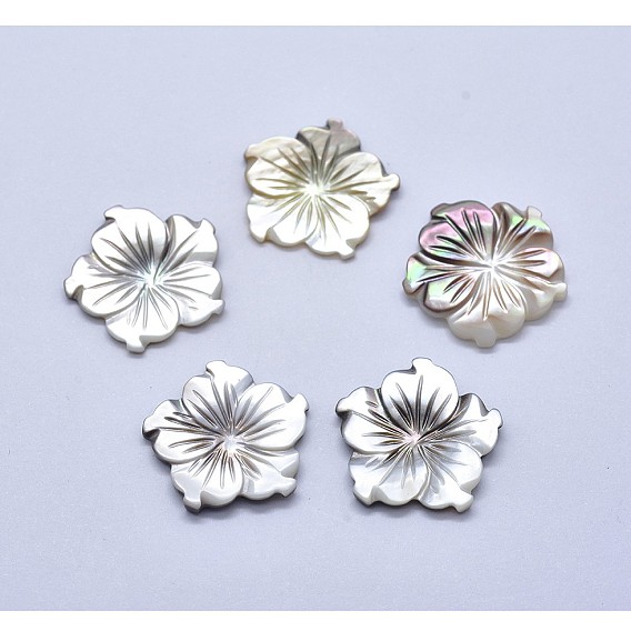 Cabochons coquille, fleur