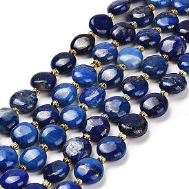 Natural Lapis Lazuli Beads Strands, Deyd, with Seed Beads, Flat Round