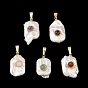Natural Mixed Gemstone Pendants, Natural Baroque Keshi Pearl Rectangle Charms with 304 Stainless Steel Snap on Bails, Golden, White, Mixed Dyed and Undyed