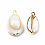 Cowrie Shell Pendants, with Golden Tone Brass Findings, Cowrie Shell