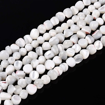 Натуральная оболочка из трохидных оболочек, самородки