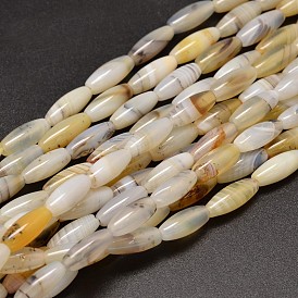 Rice Natural Dendritic Agate Bead Strands