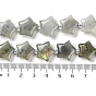 Natural Labradorite Beads Strands, with Seed Beads, Star