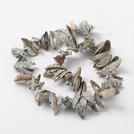 Natural Sea Shell Boat Bead Strands, 18~24x5~8mm, Hole: 1mm, about 92pcs/strand, 13.8 inch