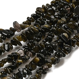 Natural Golden Sheen Obsidian Beads Strands, Chip, Grade A